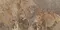 Напольная плитка «Neodom» Splendida Moscaretto Polished 120x60 CV20183 brown, фотография №3