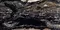 Напольная плитка «Neodom» Luxury Nairobi Polish. 120x60 CV20186 black, фото №5