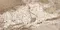 Напольная плитка «Neodom» Splendida Monaco Glossy 120x60 CV20189 brown, фотография №3