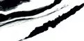 Напольная плитка «Neodom» Splendida Polished 120x60 CV20165 Panda White, картинка №6