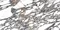 Напольная плитка «Neodom» Sale Marvel Polish. 120x60 CV20217 grey, фото №5