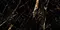 Напольная плитка «Neodom» Marble Black Polish. 120x60 CV20199 gold, фото №1