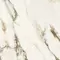 Напольная плитка «Neodom» Sixty Calacatta Venato Polish. 60x60 CV20249 бежевый, фото №9