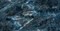 Напольная плитка «Neodom» Belvedere Polished 120x60 CV20313 Galaxy Dark, картинка №6