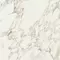 Напольная плитка «Italon» Charme Deluxe Arabescato Matt. 80x80 610010001915 white, фото №1