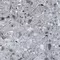 Напольная плитка «Kerranova» Terrazzo Matt. 60x60 K-331/MR/600x600x10 light grey, фото №1