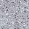 Напольная плитка «Kerranova» Terrazzo Matt. 60x60 K-331/MR/600x600x10 light grey, фотография №3