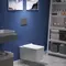 Комплект инсталляция с унитазом, крышкой и кнопкой смыва «Berges Wasserhaus» Floe Rimless 043224 безободковый белый, изображение №8