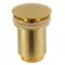 Донный клапан для раковины «Remer» 904CC114BG с механизмом Клик-Клак брашированное золото, фото №1