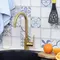 Смеситель для кухонной мойки «WasserKRAFT» Aisch 5507 матовое золото, фото №5