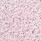 Коврик для ванной «WasserKRAFT» Dill BM-3947 100/60 резина, микрофибра Barely Pink, изображение №4