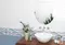 Коллекция плитки «Alma Ceramica» Jungle, фотография №3