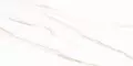 Настенная плитка «AltaCera» Esprit 50x25 WT9ESR00 сalacatta, фото №1