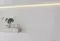 Настенная плитка «Gracia Ceramica» Sweety 02 Glossy 60x25 010100001231 white, фото №5