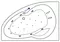 Гидромассажная ванна акриловая «Excellent» Newa 160/95 Ultra с каркасом с сифоном белая/хром левая, картинка №2