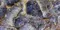 Напольная плитка «Bluezone» Crystal Polish. 120x60 BZ75708 iris, изображение №4