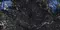 Напольная плитка «Bluezone» Multi High Glossy 120x60 BZ76617 milkyway, картинка №2