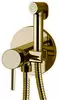 Смеситель с гигиеническим душем «Remer» X-Style X65DO золото, фото №1