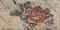 Настенный декор «CIR» Chicago Inserto Vintage Roses (комплект из 2 шт.) 20x10 1047609 south side, картинка №2