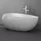 Ванна акриловая «Black & White» SB227 170/95 с сифоном белая, фотография №7