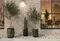 Коллекция плитки «Kerama Marazzi» Тезоро, картинка №2