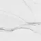 Напольная плитка «Argenta Ceramica» Altissimo Glossy 60x60 С0004245 white, изображение №8