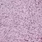 Коврик для ванной «WasserKRAFT» Kammel BM-8304 микрофибра Light Lilac, изображение №4