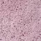 Коврик для ванной «WasserKRAFT» Kammel BM-8339 микрофибра Chalk Pink, изображение №4
