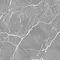 Напольная плитка «Alma Ceramica» Emotion Lapp. 57x57 GFU57EMT70L серый, фото №1