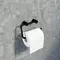 Держатель для туалетной бумаги «Iddis» Petite PETBL00i43 на стену чёрный матовый, картинка №2