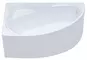 Ванна акриловая «Triton» Николь 160/100 (Щ0000049495) на Х каркасе с каркасом без сифона белая правая, картинка №2