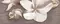 Настенное панно «Azori» Amati Plumeria (комплект из 2 шт.) Matt. 50,5x40,2 584192003 alba, картинка №2