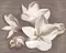 Настенное панно «Azori» Amati Plumeria (комплект из 2 шт.) Matt. 50,5x40,2 584192003 alba, фотография №3