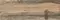 Напольная плитка «LB-CERAMICS» Вестерн Вуд Matt. 60x20 6264-0057 песочный, картинка №2