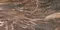 Настенная плитка «Axima» Гавана тёмная 60x30 СК000037042 коричневый, фото №1