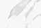 Настенная плитка «Axima» Виченца светлая 40x28 СК000037051 белый, фото №1