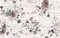 Настенное панно «LB-CERAMICS» Шебби Шик Цветы Matt. (комплект из 2 шт.) 60x40 1606-0006 мультиколор, фото №1