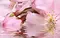 Настенный декор «Belleza» Букет 40x25 07-00-5-09-01-41-664 розовый, фото №1