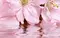 Настенный декор «Belleza» Букет 40x25 07-00-5-09-01-41-665 розовый, фото №1