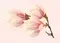 Настенный декор «Axima» Агата розовая D 35x25 СК000030353 цветы розовый, фото №1