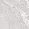 Напольная плитка «Axima» Barcelona Matt. 60x60 СК000031476 светло-серый, фото №1