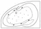 Гидромассажная ванна акриловая «Excellent» Newa 160/95 Relax с каркасом с сифоном белая/золото левая, картинка №2