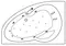 Гидромассажная ванна акриловая «Excellent» Newa 160/95 Ultra с каркасом с сифоном белая/бронза левая, картинка №2