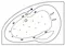 Гидромассажная ванна акриловая «Excellent» Newa 160/95 Ultra с каркасом с сифоном белая/золото левая, картинка №2
