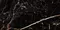 Напольная плитка «Laparet» Universe полированный 160x80 х9999286937, фото №1