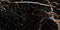 Напольная плитка «Laparet» Universe полированный 160x80 х9999286937, изображение №8