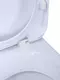Унитаз компакт «Оскольская керамика» Радуга белый декор Цветы с сиденьем полипропилен белый, картинка №6