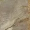Напольная плитка «Alma Ceramica» Vulcano 57x57 GFA57VLC78L коричневый, фото №13