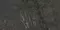 Напольная плитка «Neodom» Belvedere Flagstone Polish. 120x60 N70008 чёрный, фото №1