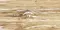 Настенная плитка «AltaCera» Santos Wood Matt. 50x24,9 WT9SOS08 бежевый, изображение №16